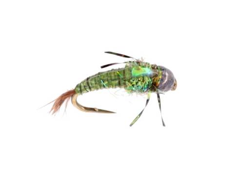 River Ninja - Olive